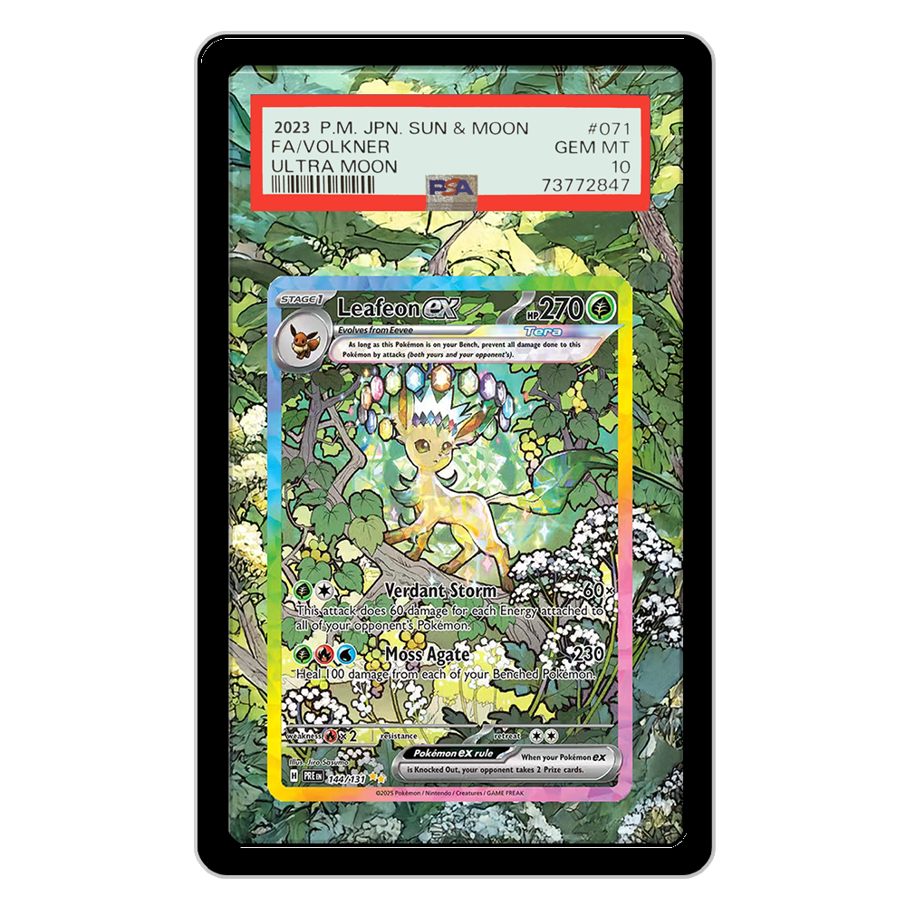 Pokemon Cards Display PTCG Lea – Display Case Acrylic Bewertung und Preis